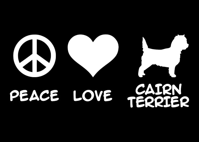Cairn Terrier