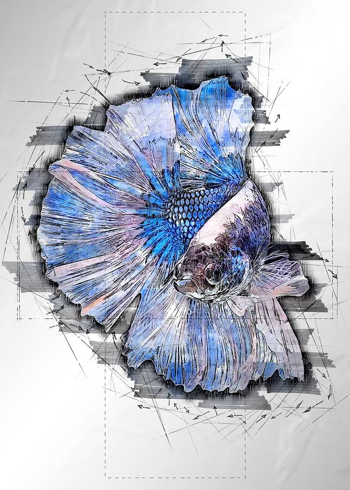 White Bright Betta