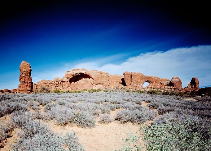 North Window Arches