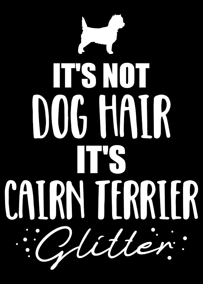 Cairn Terrier