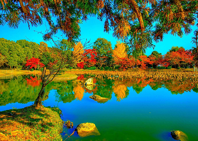 Nature