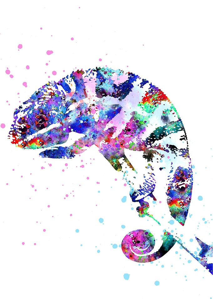 Chameleon
