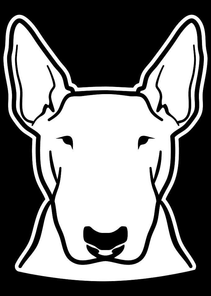 Bull terrier