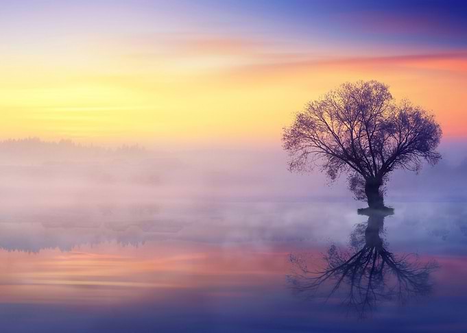 Lake Nature Art