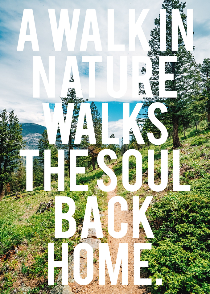 Trail Hiking Natur Wandern