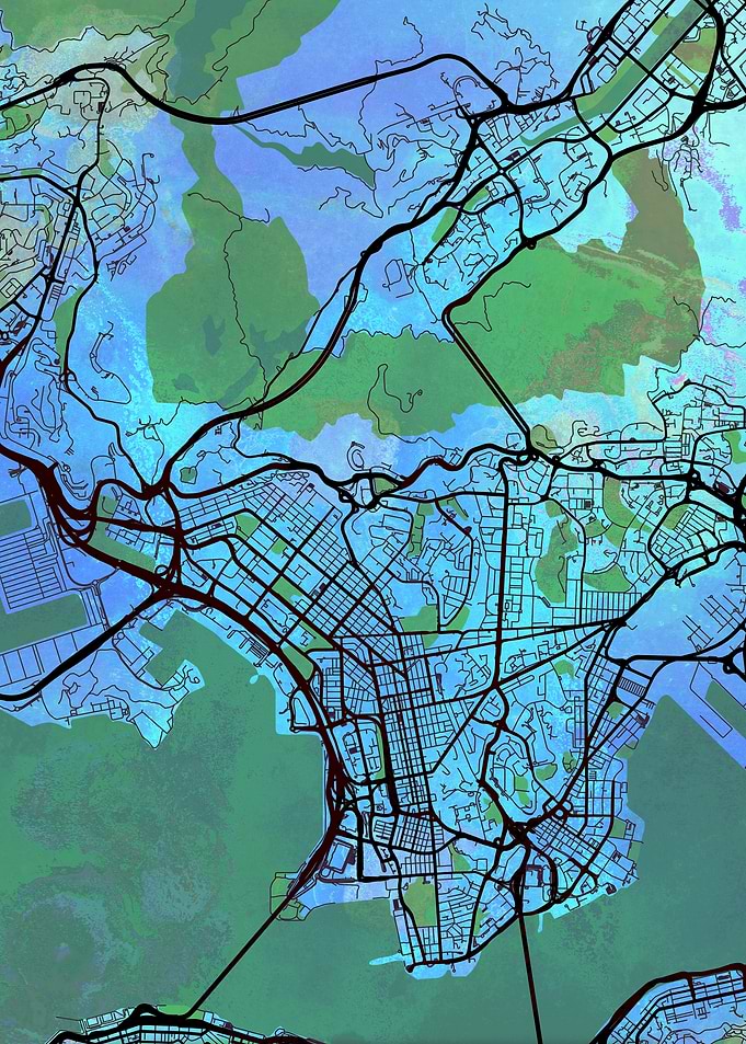 Hong Kong Street Map