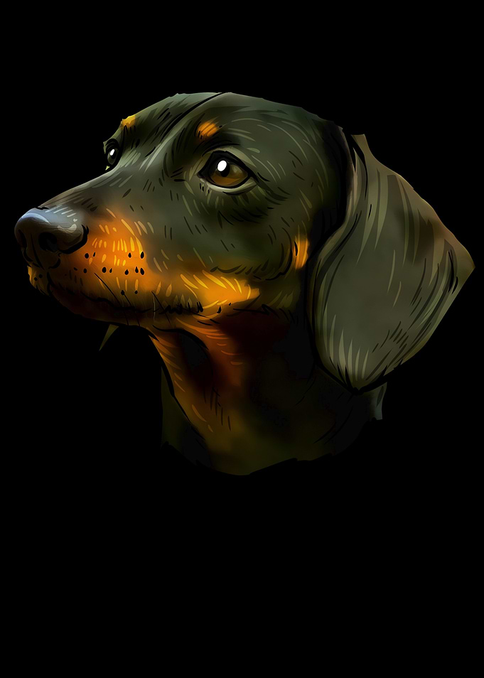 Dachshund Dog Portrait