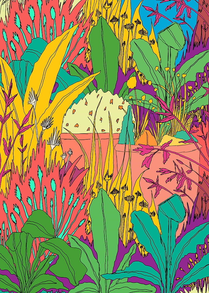 A summers garden