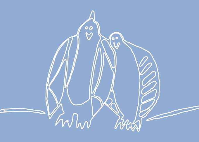 Lovely birds