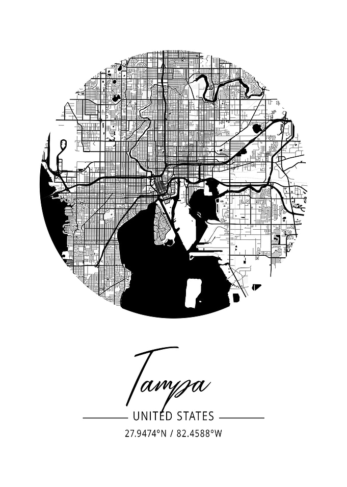 Tampa Area City Map
