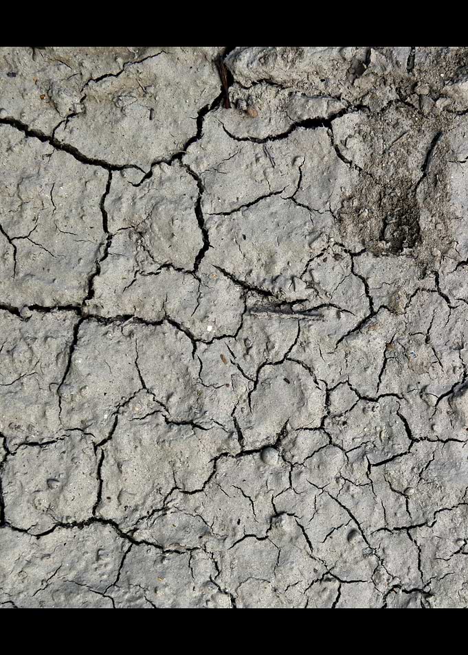 Desert Cracks Salt Lake