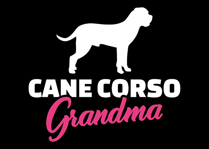 Cane Corso