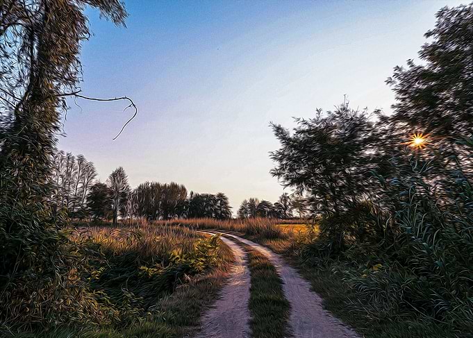 Country dirt road