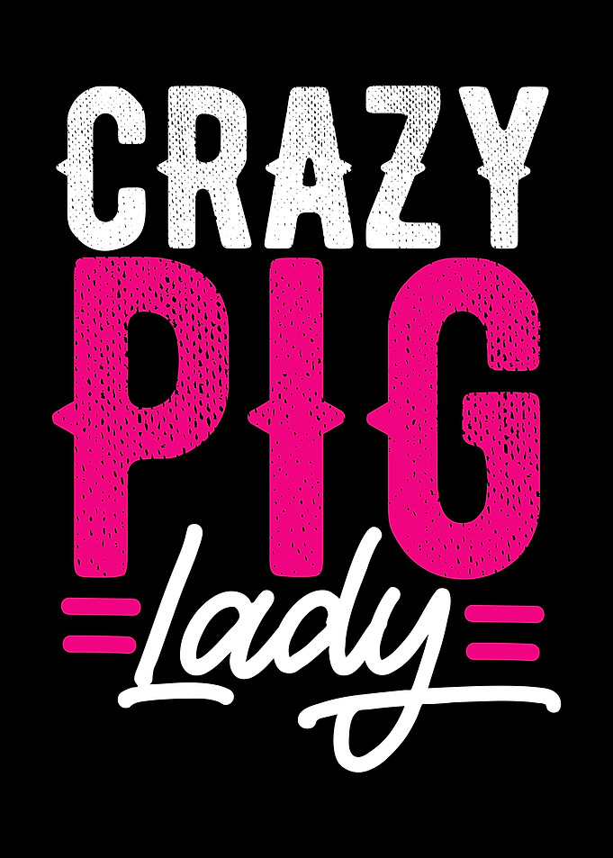 Crazy Pig Lady Funny Farme