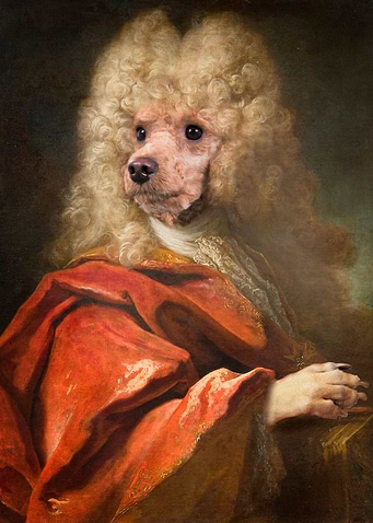 Portrait of a Gentledog