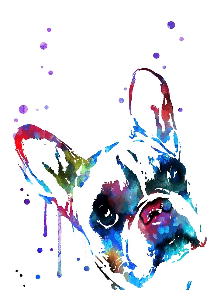 Bulldog peeking