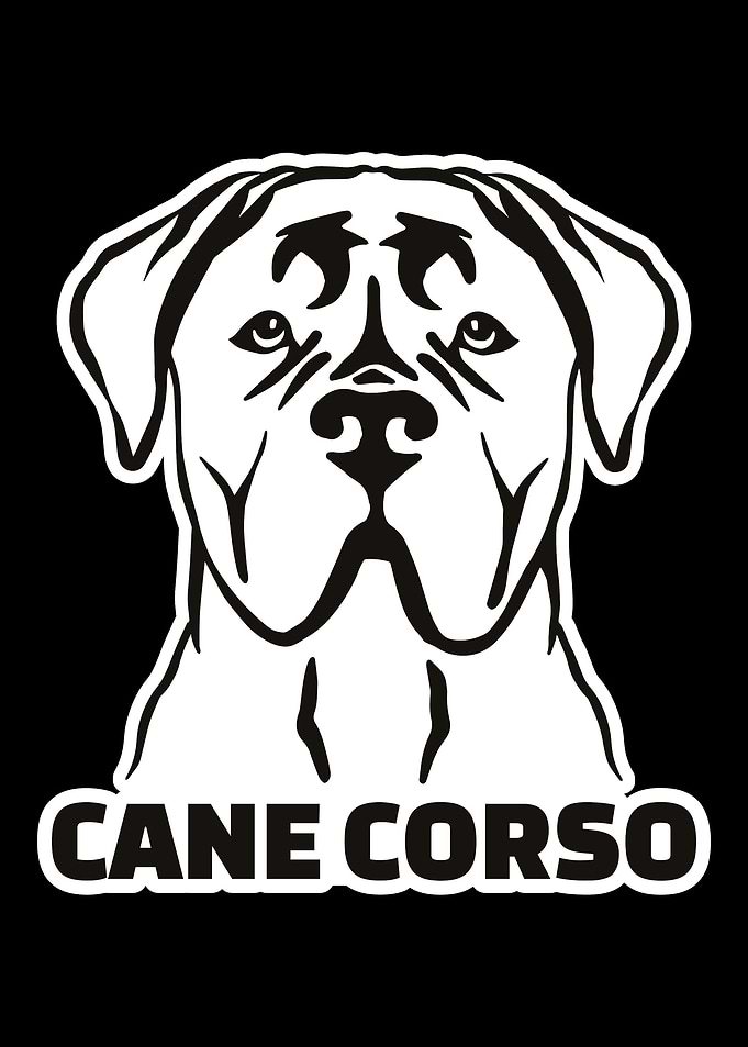 Cane Corso