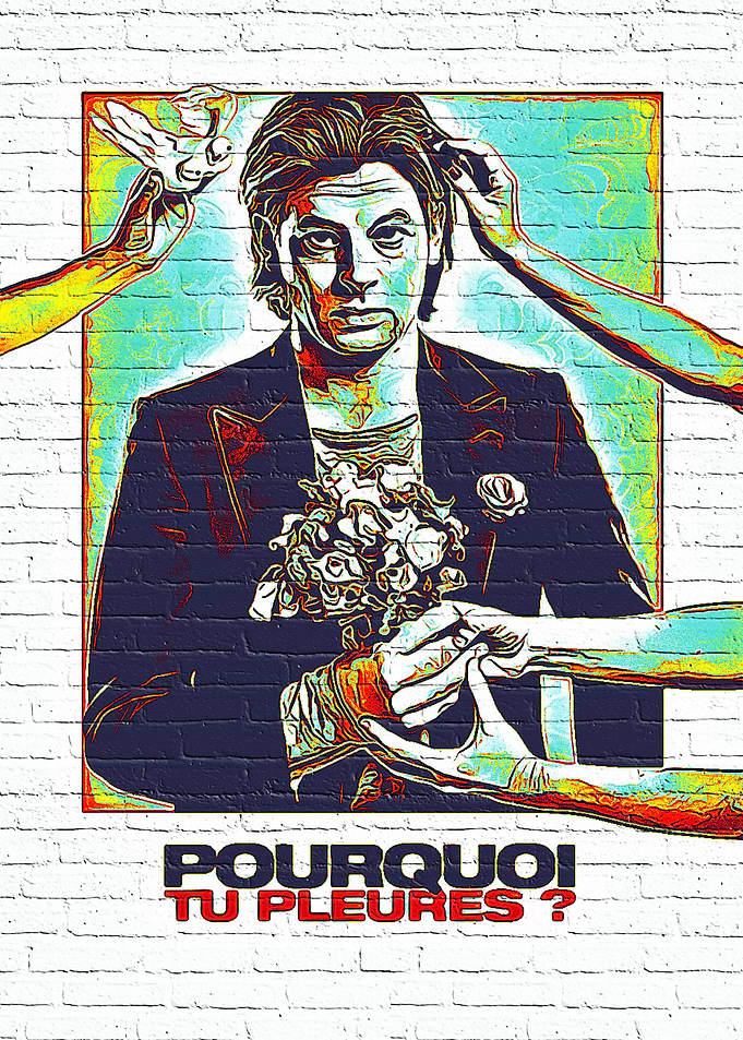 Pourquoi Tu Pleures
