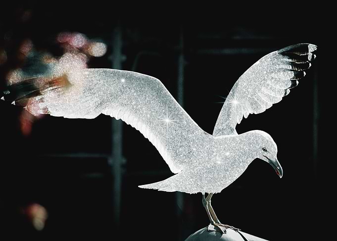 sparkles x bird
