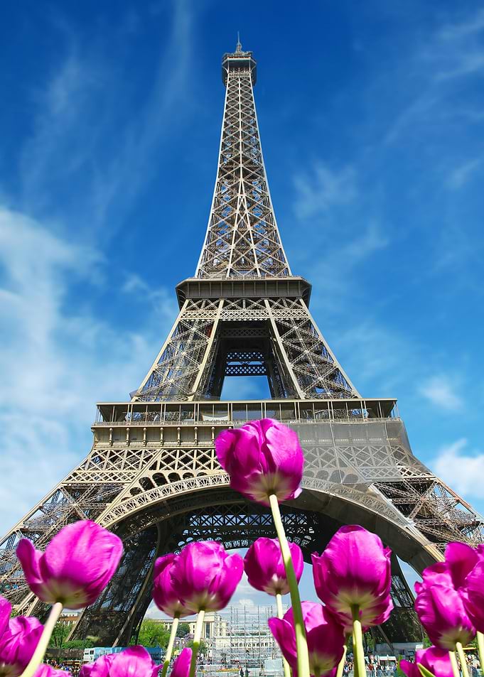 view of Tour Eiffel
