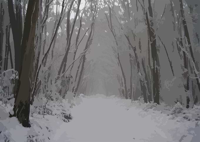Australian Snowscape