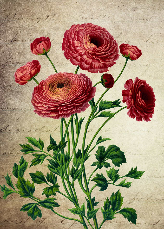 Flowers Bouquet