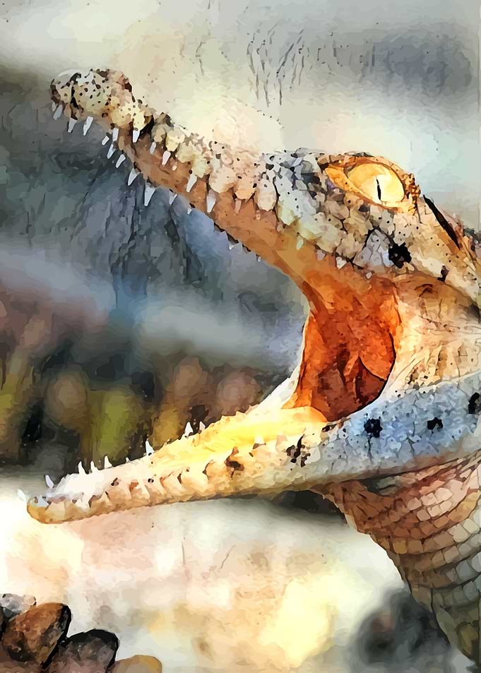 Nile Crocodile
