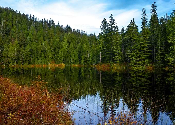 USA Lake Forests Ashland