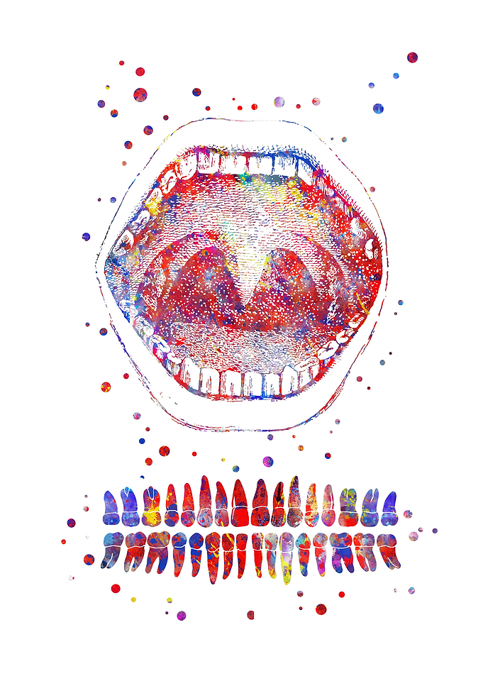 Tooth chart