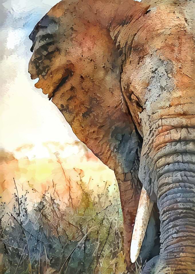 The Elephant Spirit
