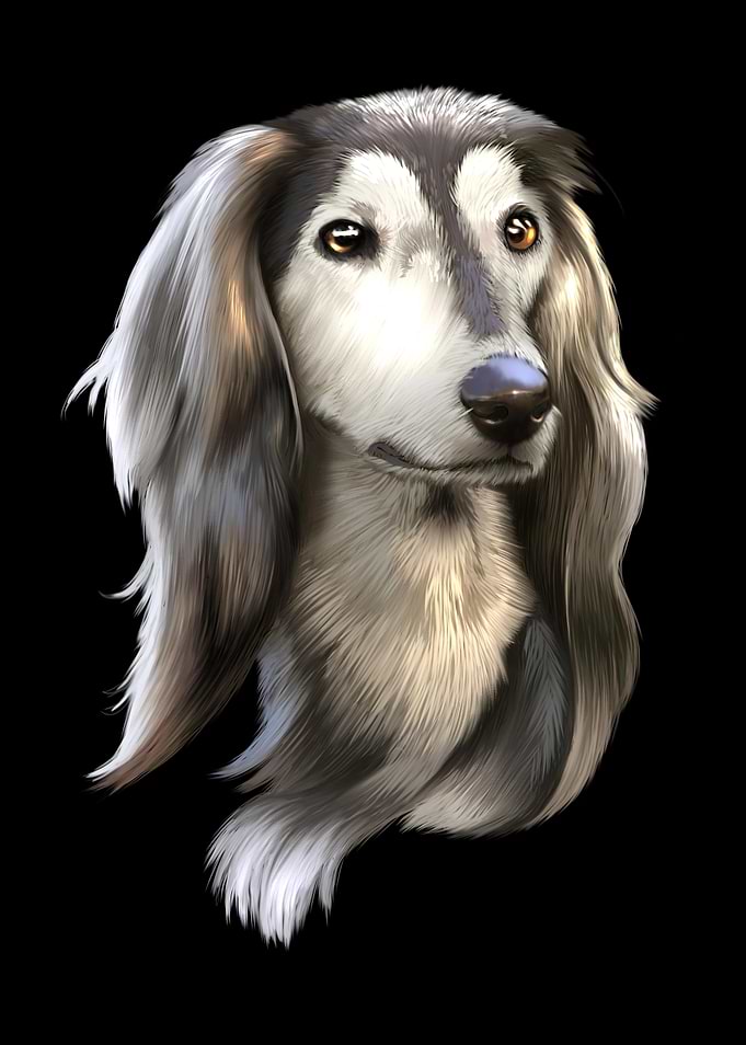 Greyhound Portrait