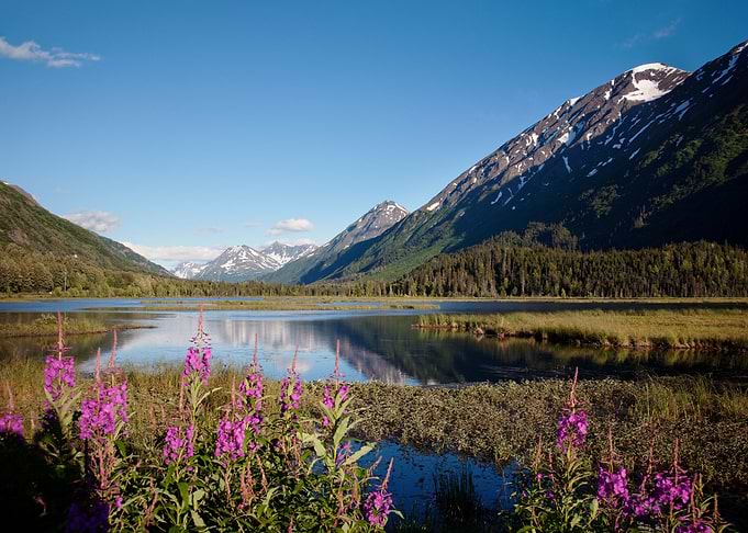 Chugach National Forest