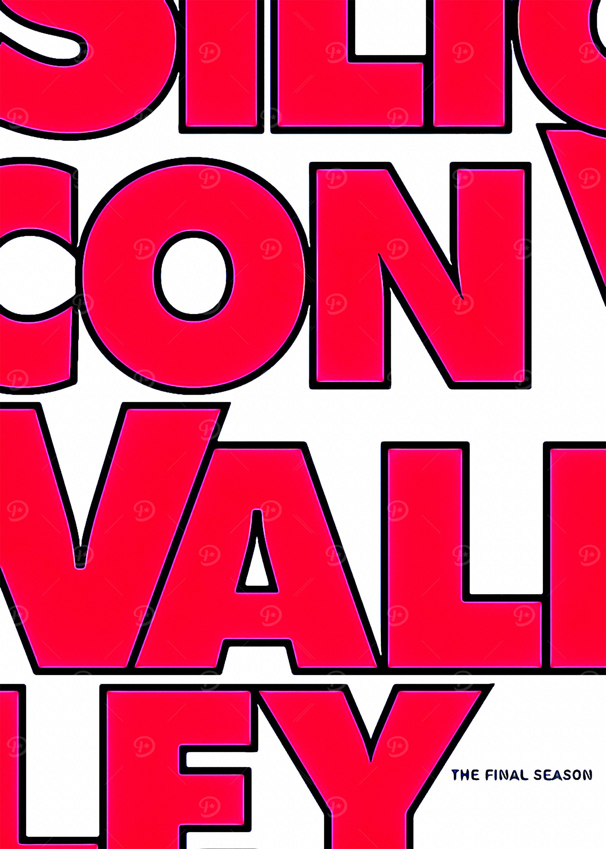 Silicon Valley 3