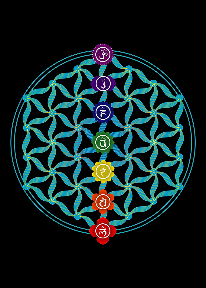 Flower of Life 7 Chakras