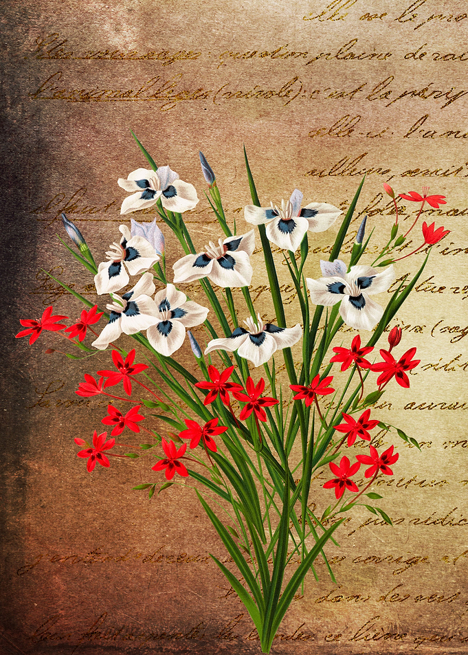 Flowers Bouquet