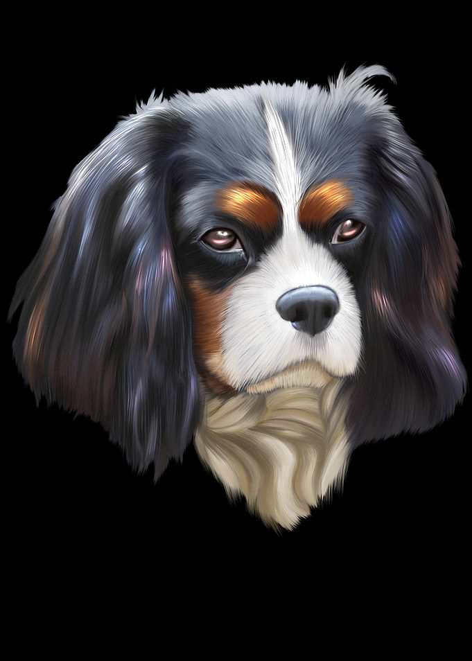 King Cavalier Dog