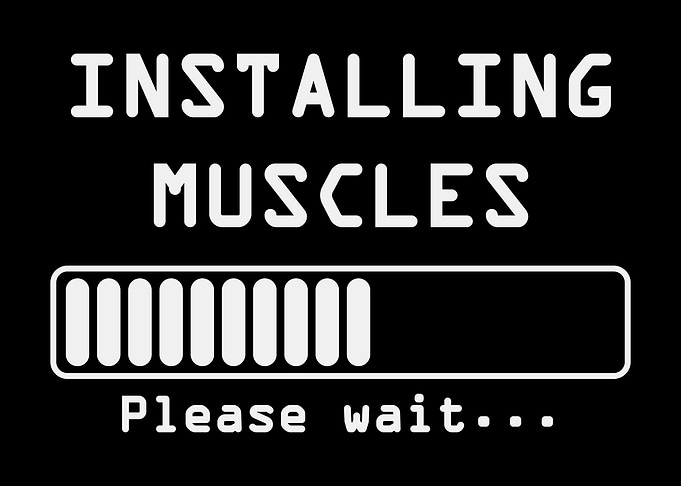 Installing Muscles