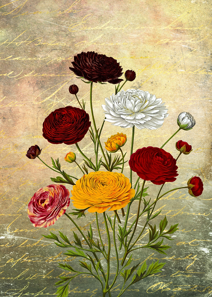 Flowers Bouquet
