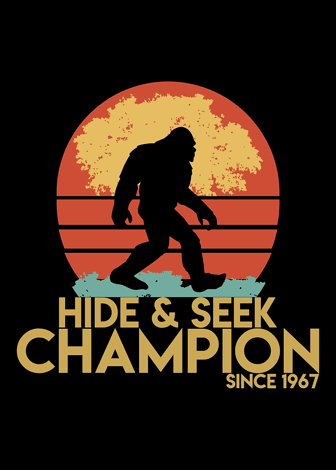 Hide and Seek Champion sin
