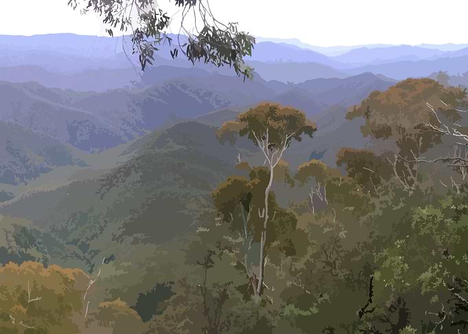 Australian Bushland