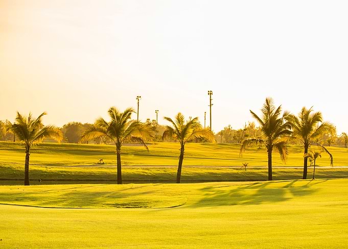 Background Beautiful Club