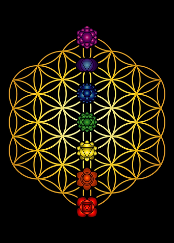 Flowe of Life Buddhism