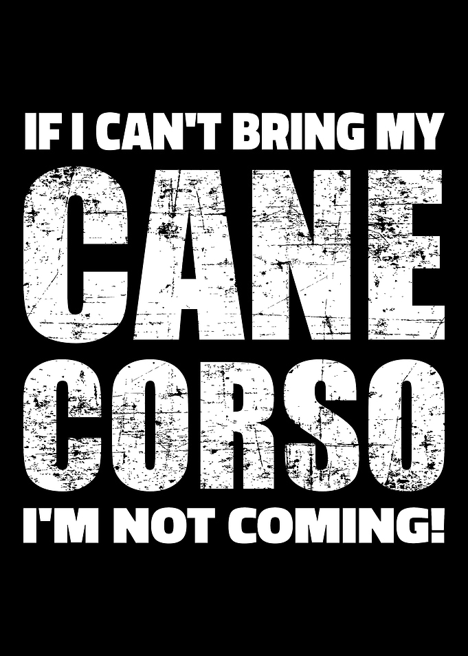 Cane Corso