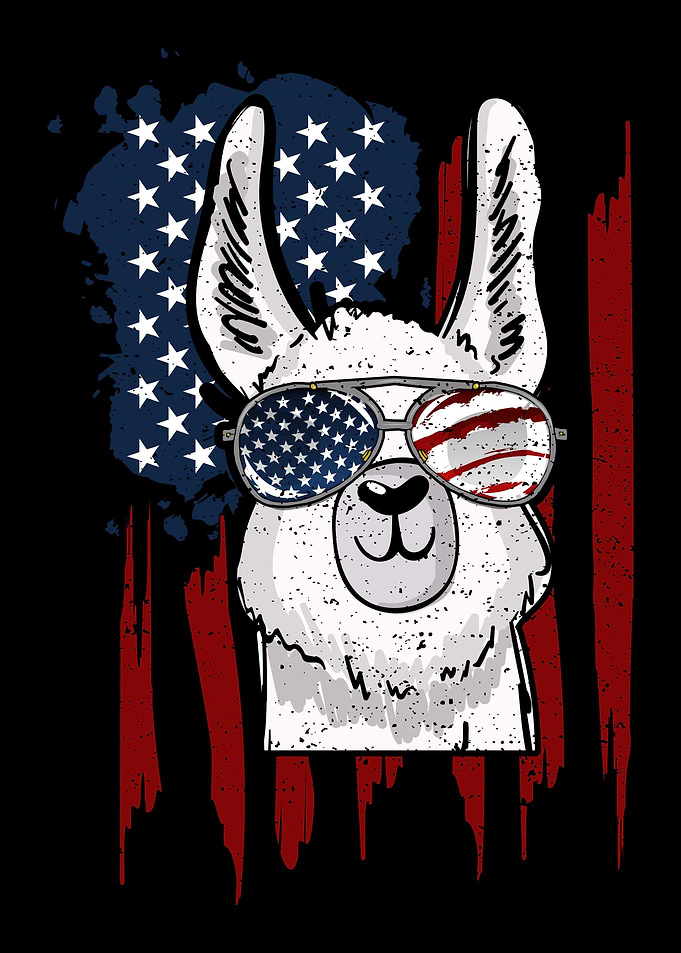 US Flag Llama Sunglasses