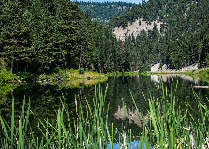 USA Lake Forests Chesaw