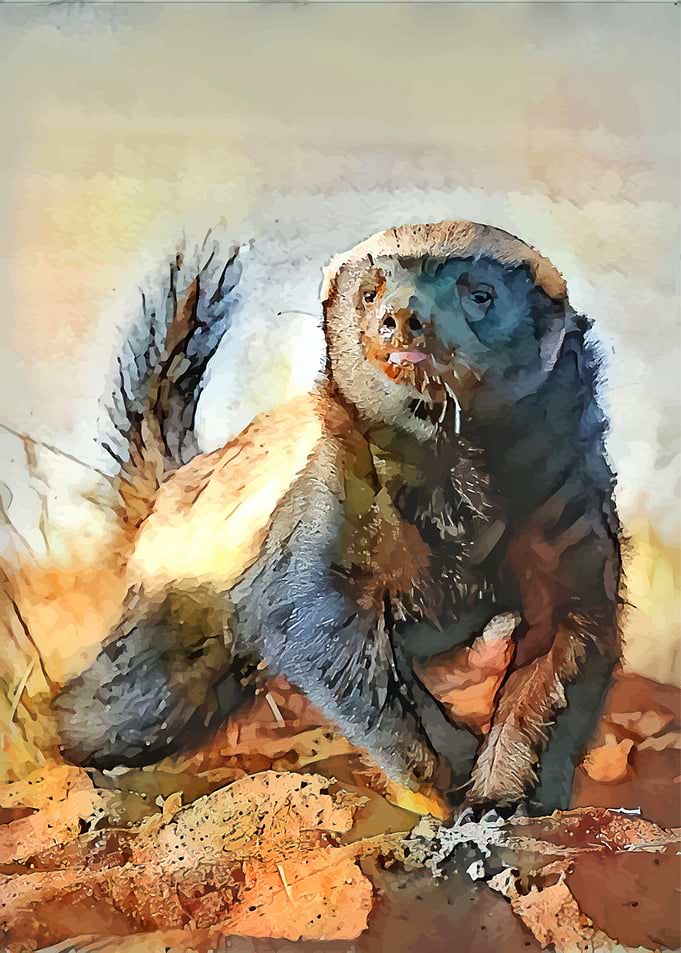 The Honey Badger