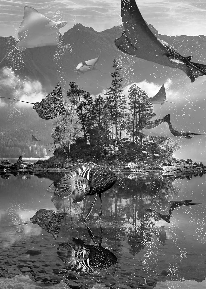 Rays Lake