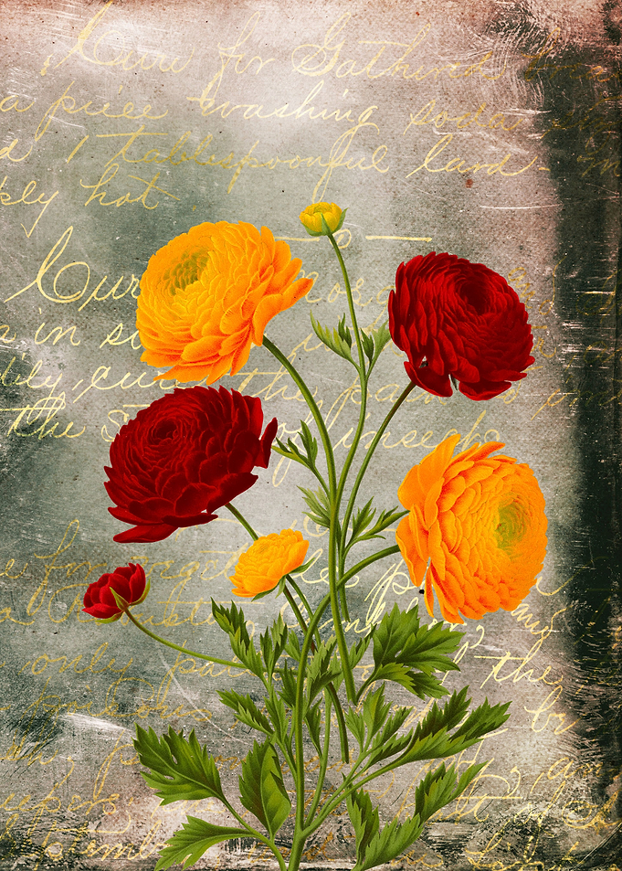 Flower Bouquet