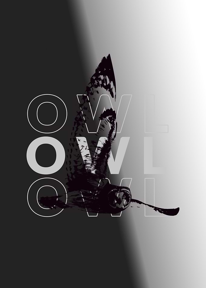 Owl In Sketch Style Art