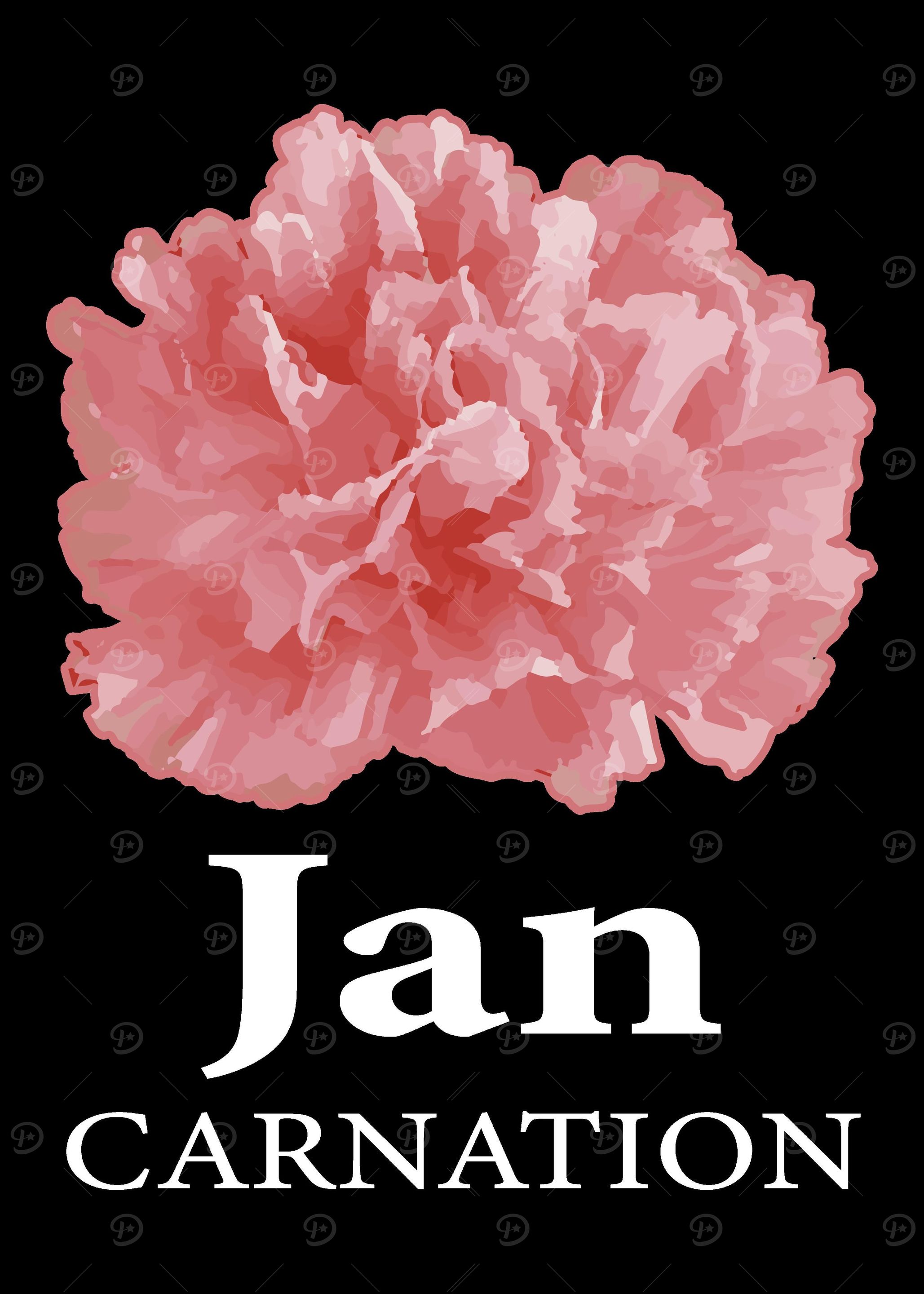 January Carnation Floral D